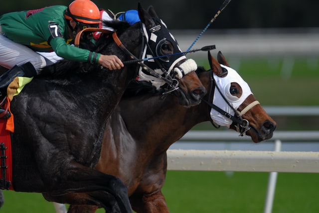The English Derby: Horse Race That Altered the Sphere - Niche Racing