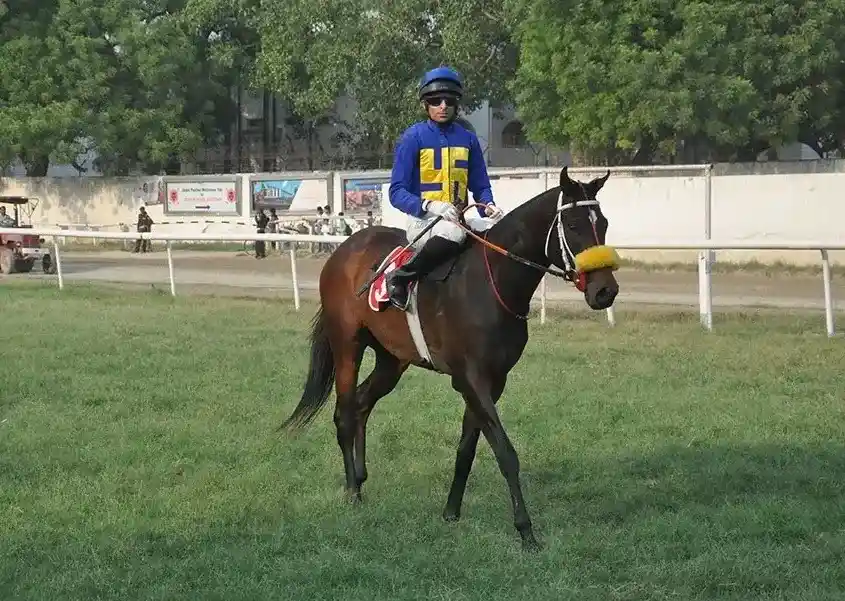 Jockey riding on horse and getting ready for race - Niche Racing