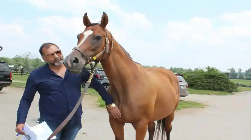 Harisharan Devgan is looking at horse