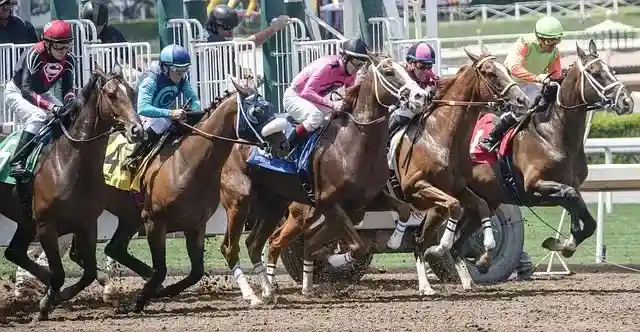 Horse Racing Rules: How to Race the Horses - Niche Racing