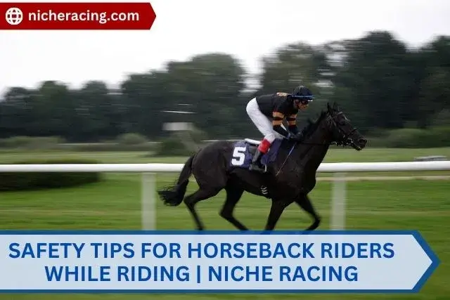 safety tips for horseback riders while riding - Niche Racing