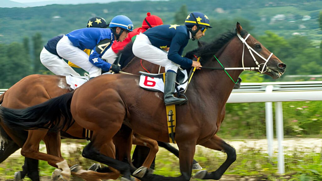 Why is Horse Racing the Most Expensive Sport?